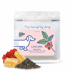 The naughty dog Kostarika DIEGO GUARDIA - cascara - thumbnail 2