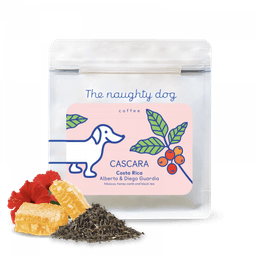 The naughty dog Kostarika DIEGO GUARDIA - cascara - thumbnail 1