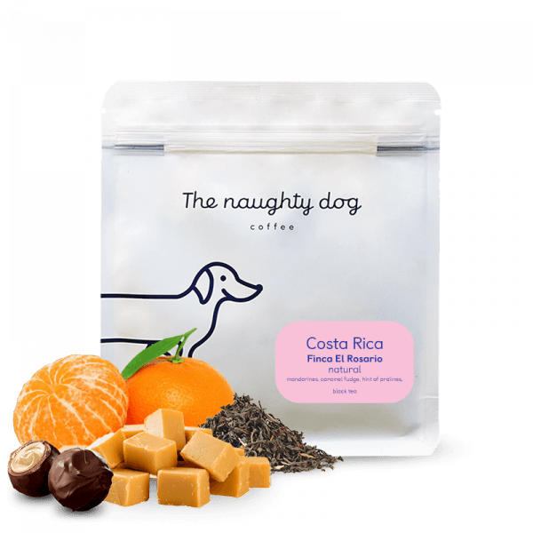 The naughty dog Costa Rica FINCA EL ROSARIO