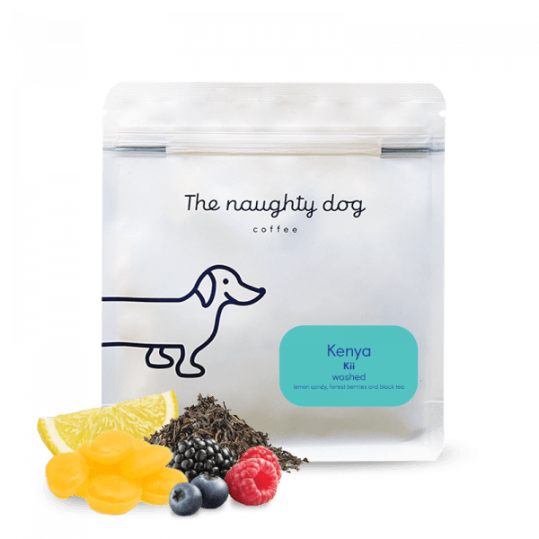 The naughty dog Kenya KII