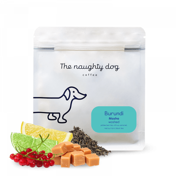 The naughty dog Burundi MASHA