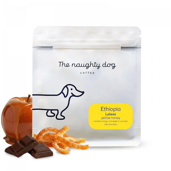 The naughty dog Etiopie LALESA