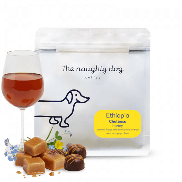 The naughty dog Ethiopia CHELBESA