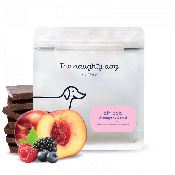 The naughty dog Etiopie ALEMAYEHU DANIEL