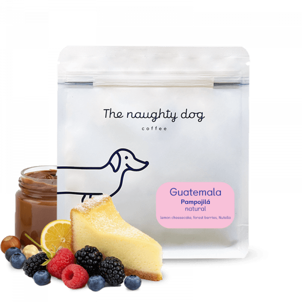 The naughty dog Guatemala PAMPOJILÁ