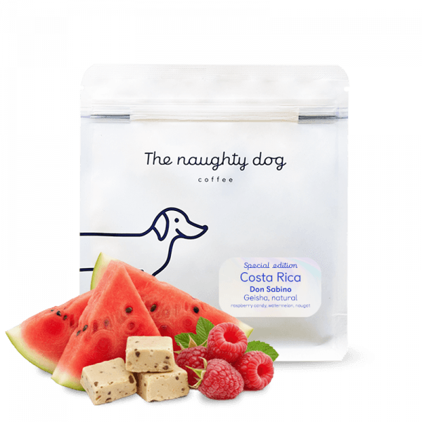 The naughty dog Kostarika DON SABINO - speciální edice