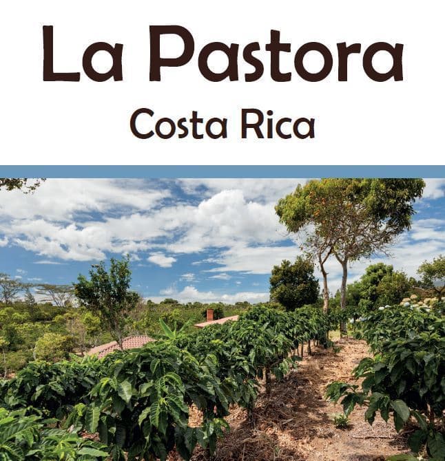 Costa Rica La Pastora