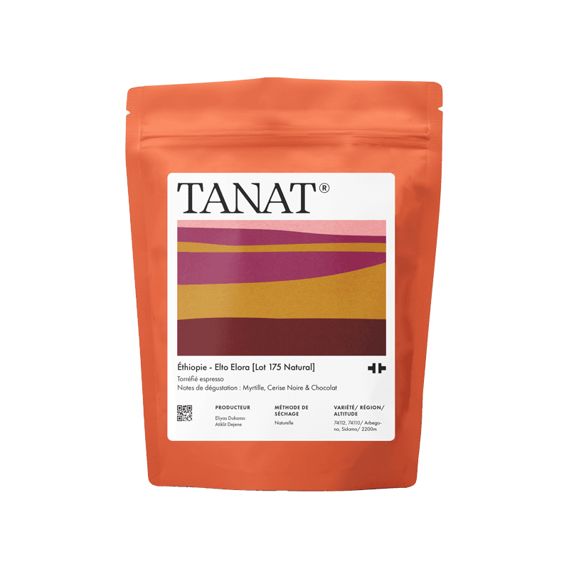 Elto Elora [Lot 175 Natural]