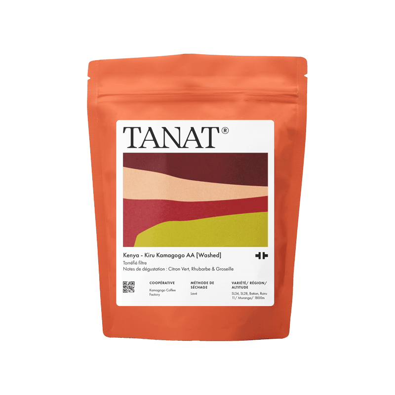 Kiru Kamagogo AA [Washed]