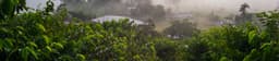 Café Finca Santa Isabel - Nature - thumbnail 4