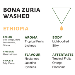 Ethiopia Bona Zuria Washed - thumbnail 1