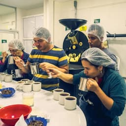 Ecolsierra — Dark Espresso - thumbnail 6