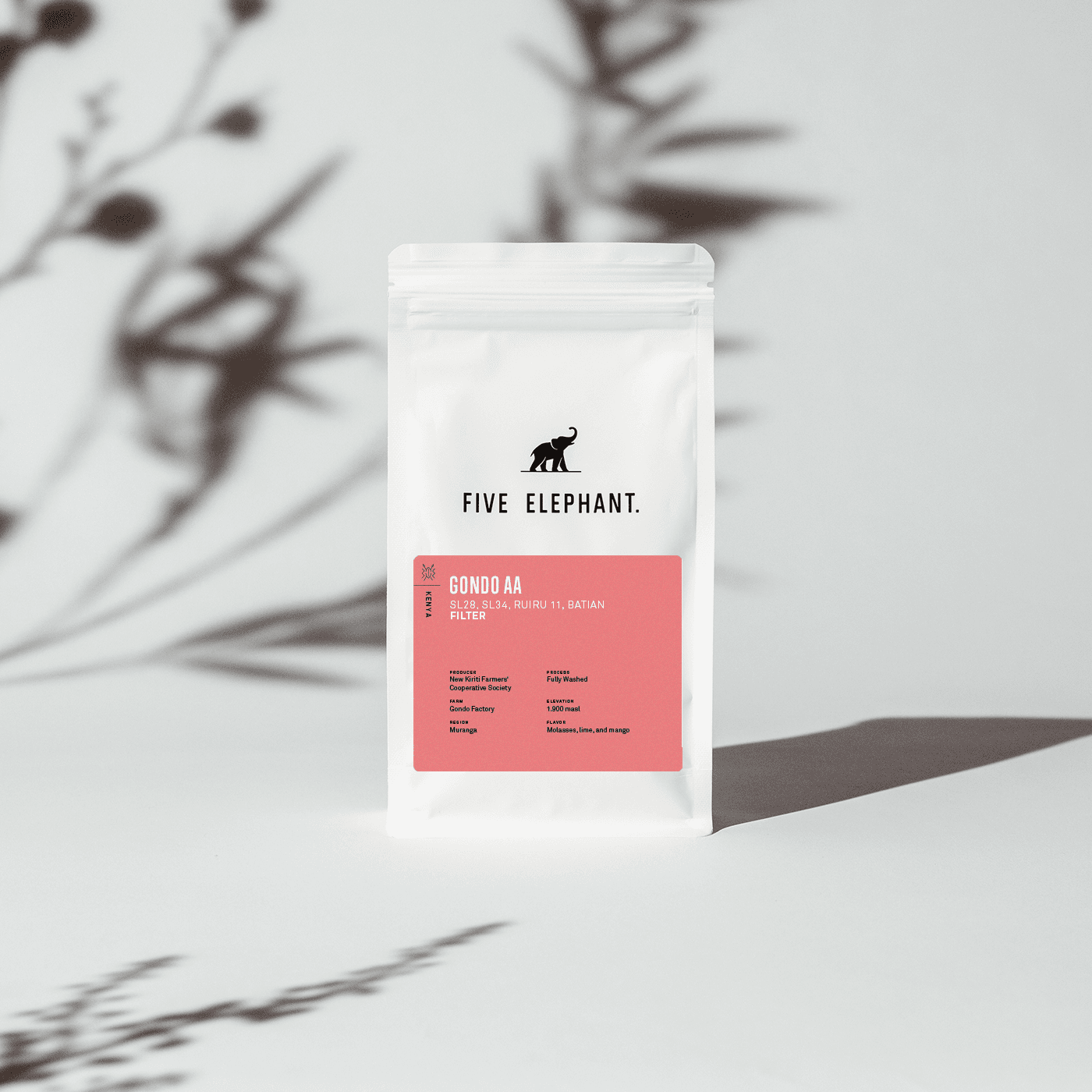 KENYA Gondo AA – Filter