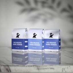 Finca Majahual, El Salvador, Three Process Tasting Set – Filter - thumbnail 3