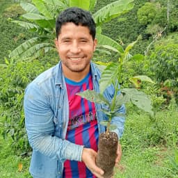 Colombia Quebraditas Experimental Bourbon Ají - thumbnail 2