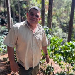 Nicaragua Balladares Caturra Natural - thumbnail 4