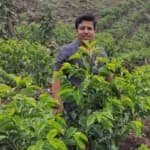 Peru La Ponderosa Anaerobic Washed Geisha - thumbnail 5
