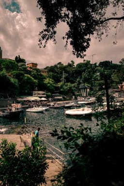 Kultbohne Disco Italiano Espresso - thumbnail 2