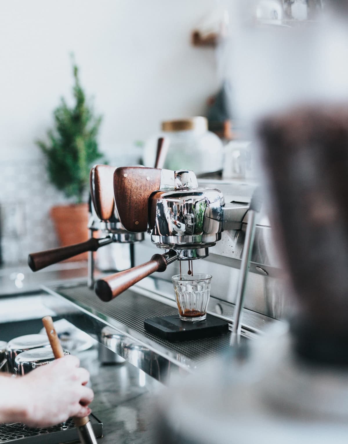 Merchant's House Blend