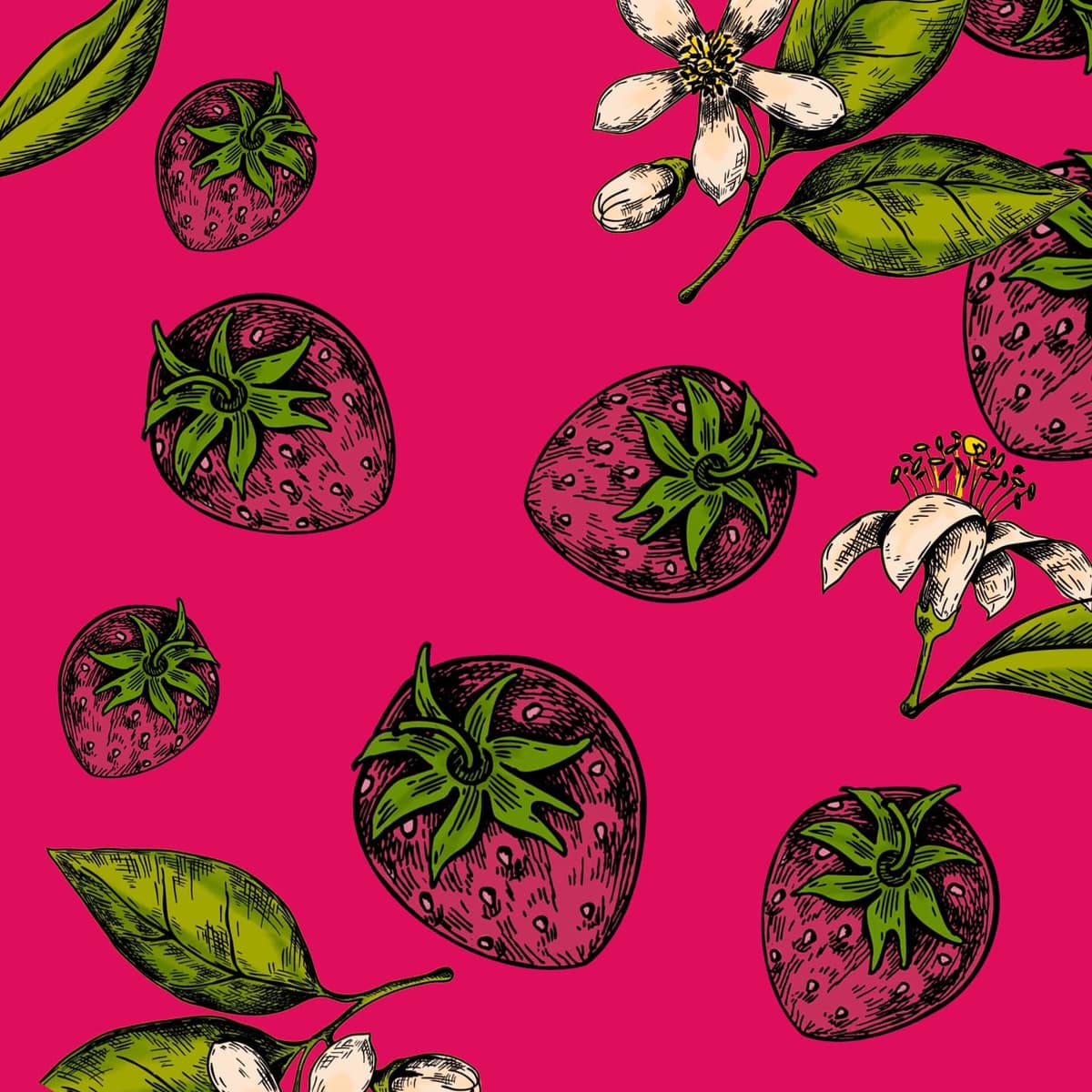 Costa Rica, Central Valley, Carrizal