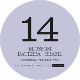Brazil, Daterra | Blossom - thumbnail 1