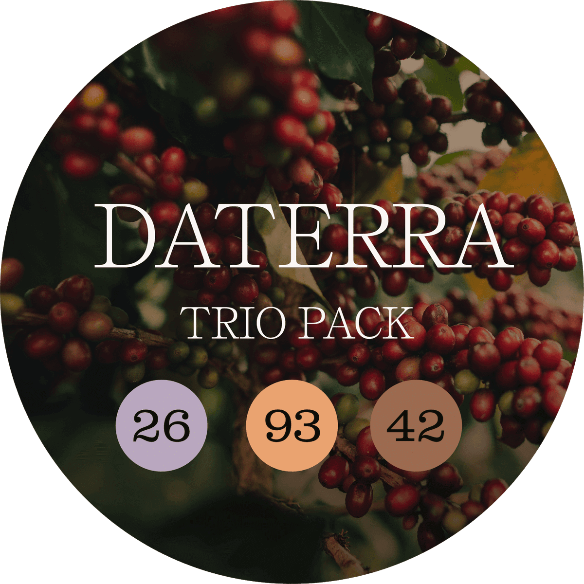 Daterra – Trio