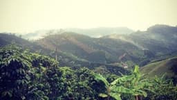 Colombia San Gabriel - thumbnail 2