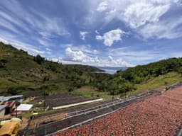 Rwanda – Shyira - thumbnail 3