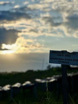 Ruanda Women's Coffee Project - thumbnail 3