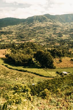 Kenya Ol'ochoy - thumbnail 7