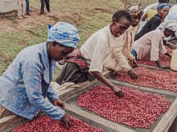 Kenya Ol'ochoy - thumbnail 5