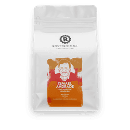 TAARA (INDIA) - FILTER ROAST - thumbnail 1