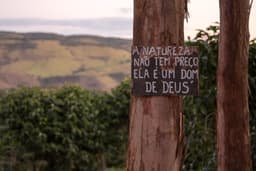 Brazil, Sertão - thumbnail 3