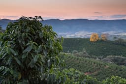 Brazil, Sertão - thumbnail 4