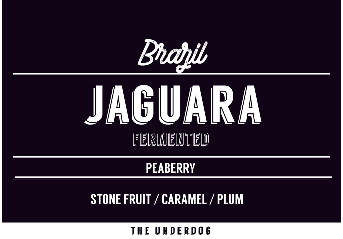 Brazil, Jaguara PB (72-80 Hours)
