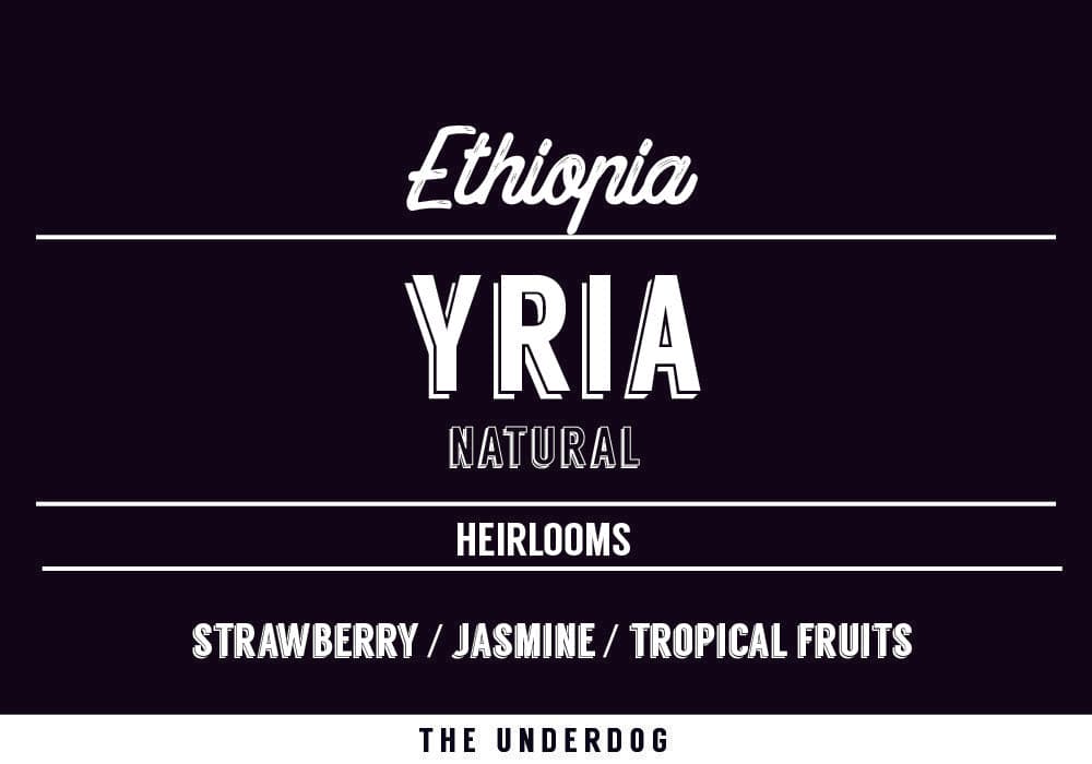 Ethiopia, Yria
