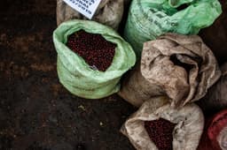 El Salvador, Miramar - thumbnail 3