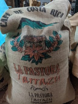 Costa Rica, La Pastora - thumbnail 2