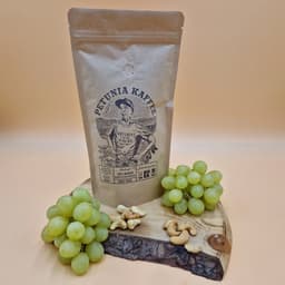 Brasilien Petunia - thumbnail 4