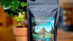 Harzmotion - thumbnail 3