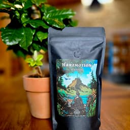 Harzmotion - thumbnail 4