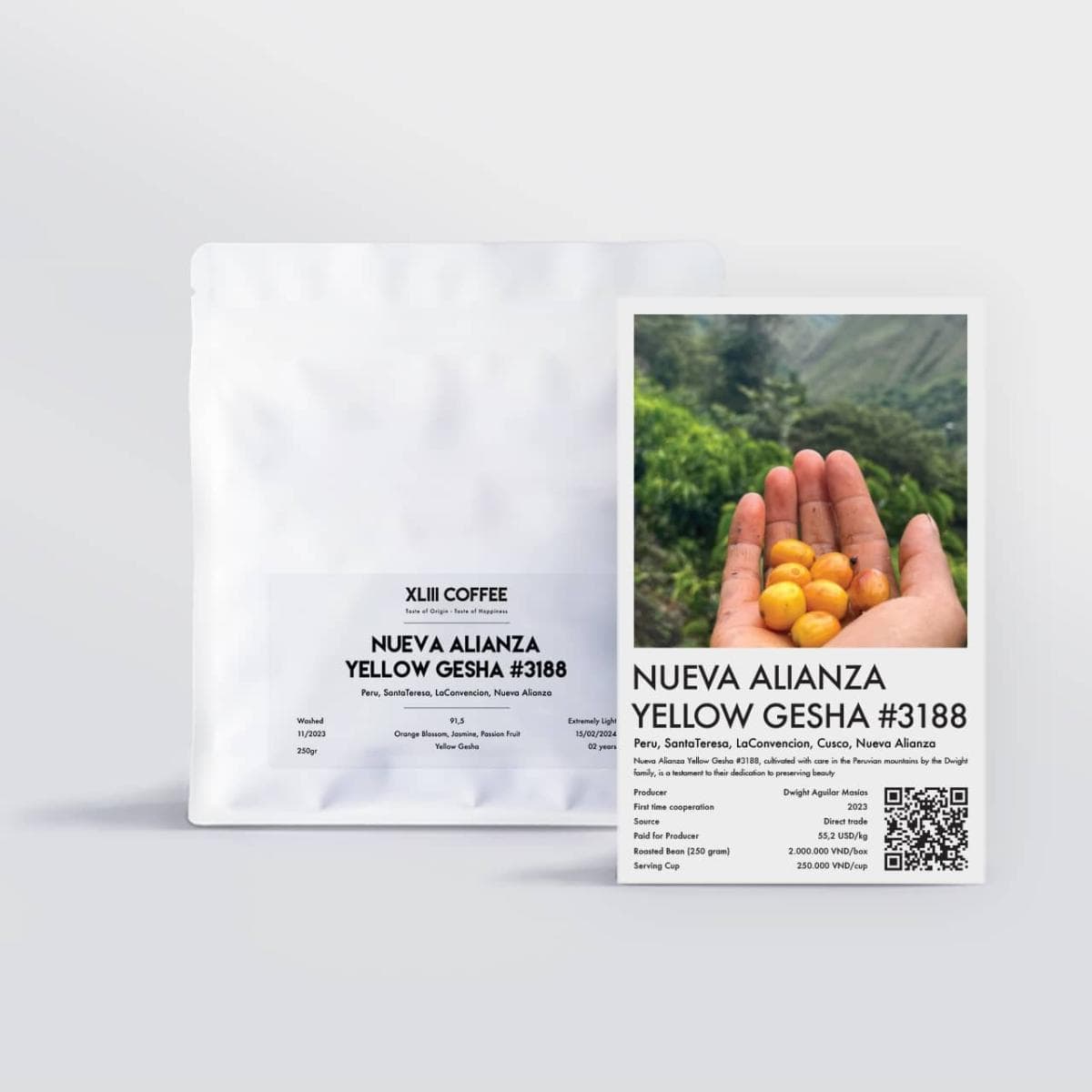 Nueva Alianza Yellow Gesha #3188