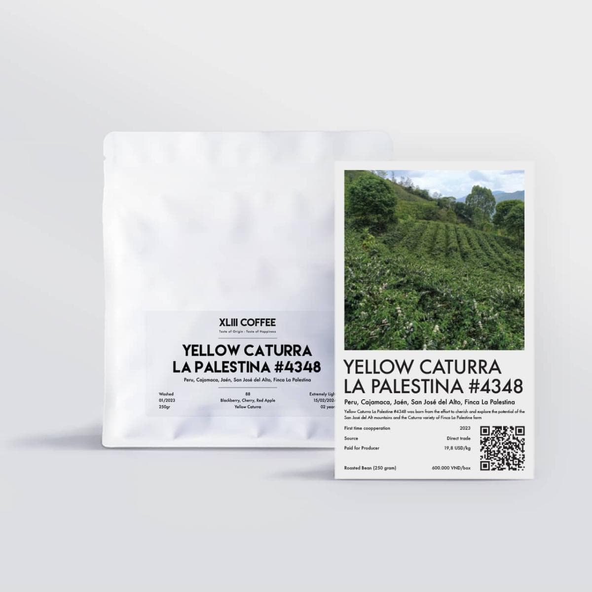 Yellow Caturra La Palestina #4348
