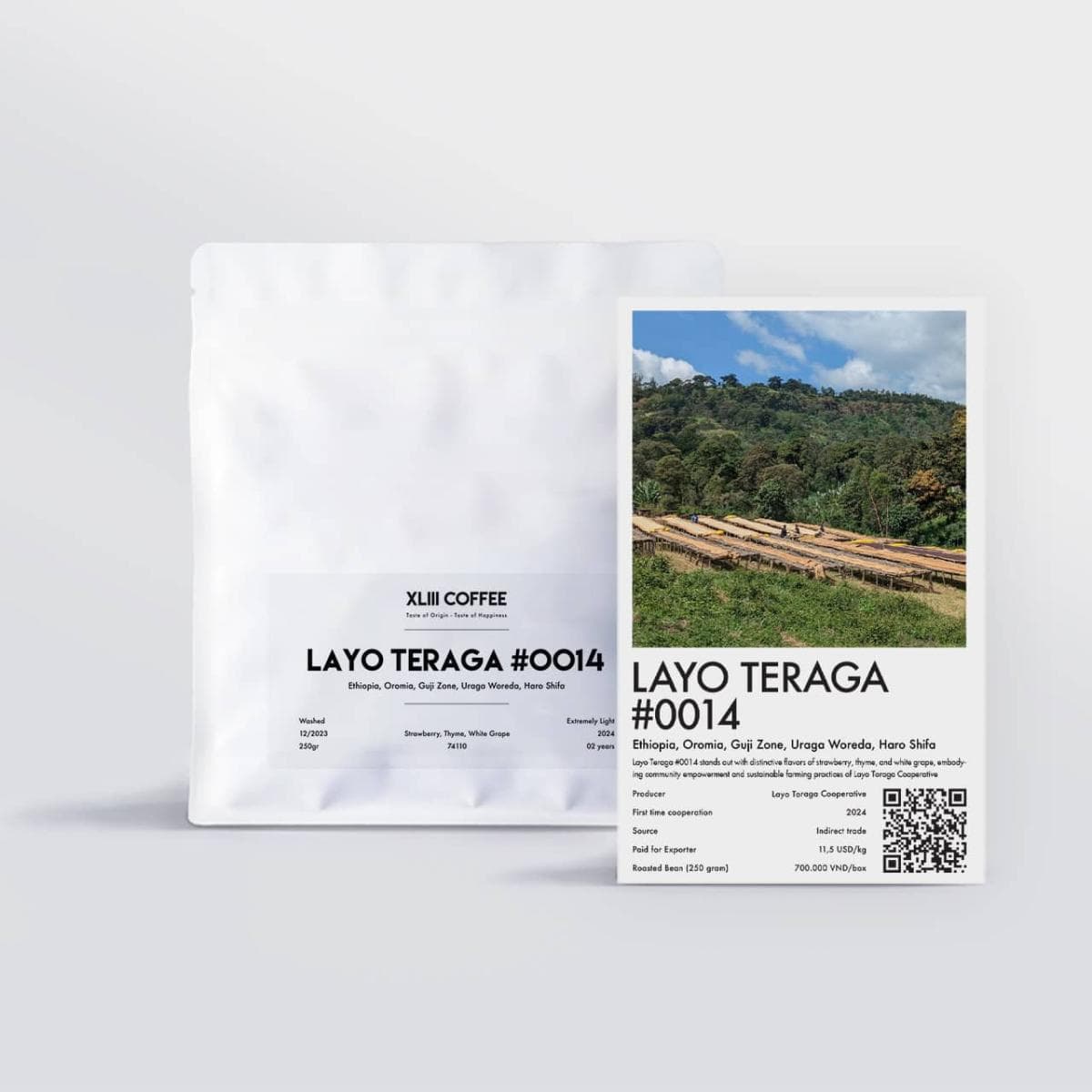 Layo Teraga #0014