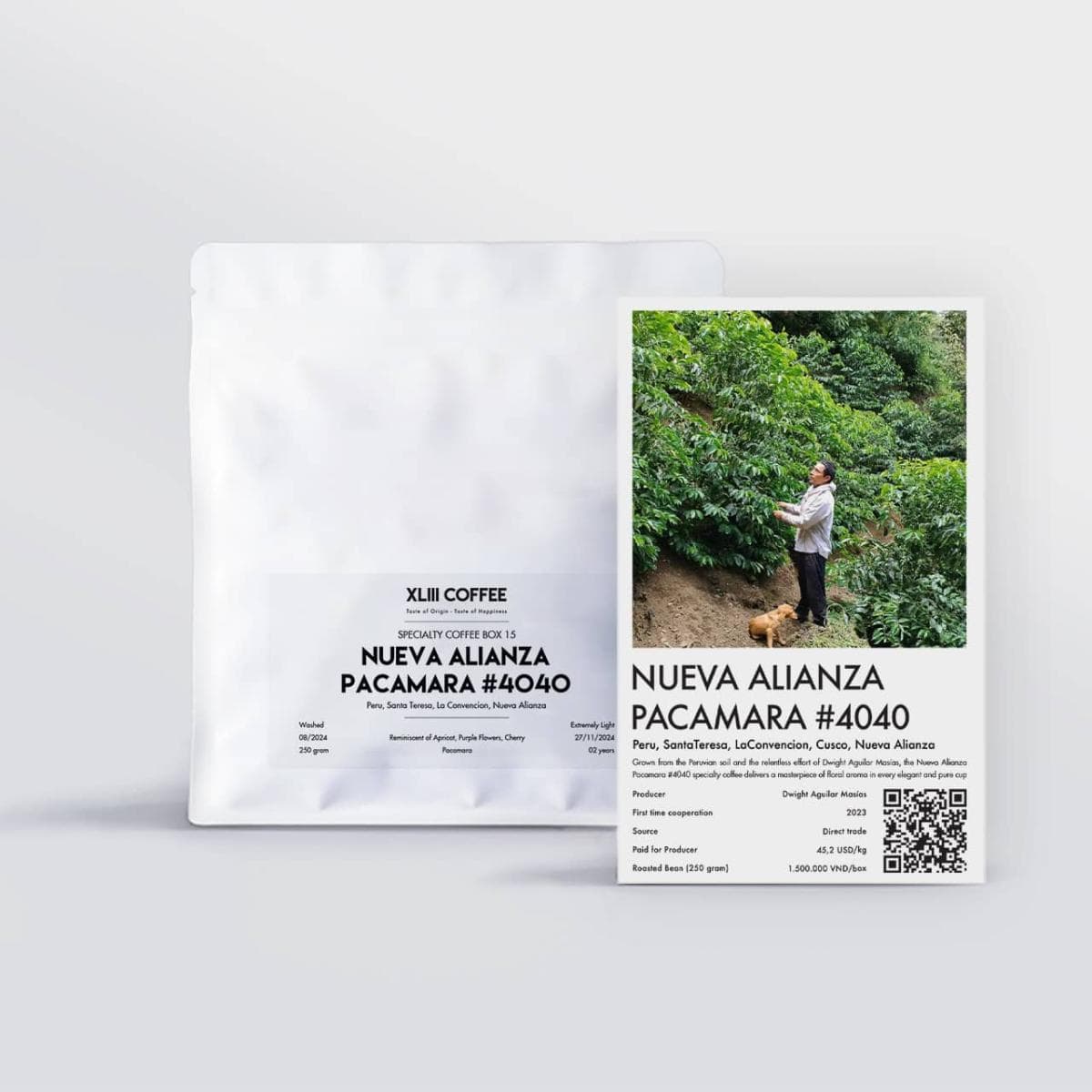 Nueva Alianza Pacamara #4040