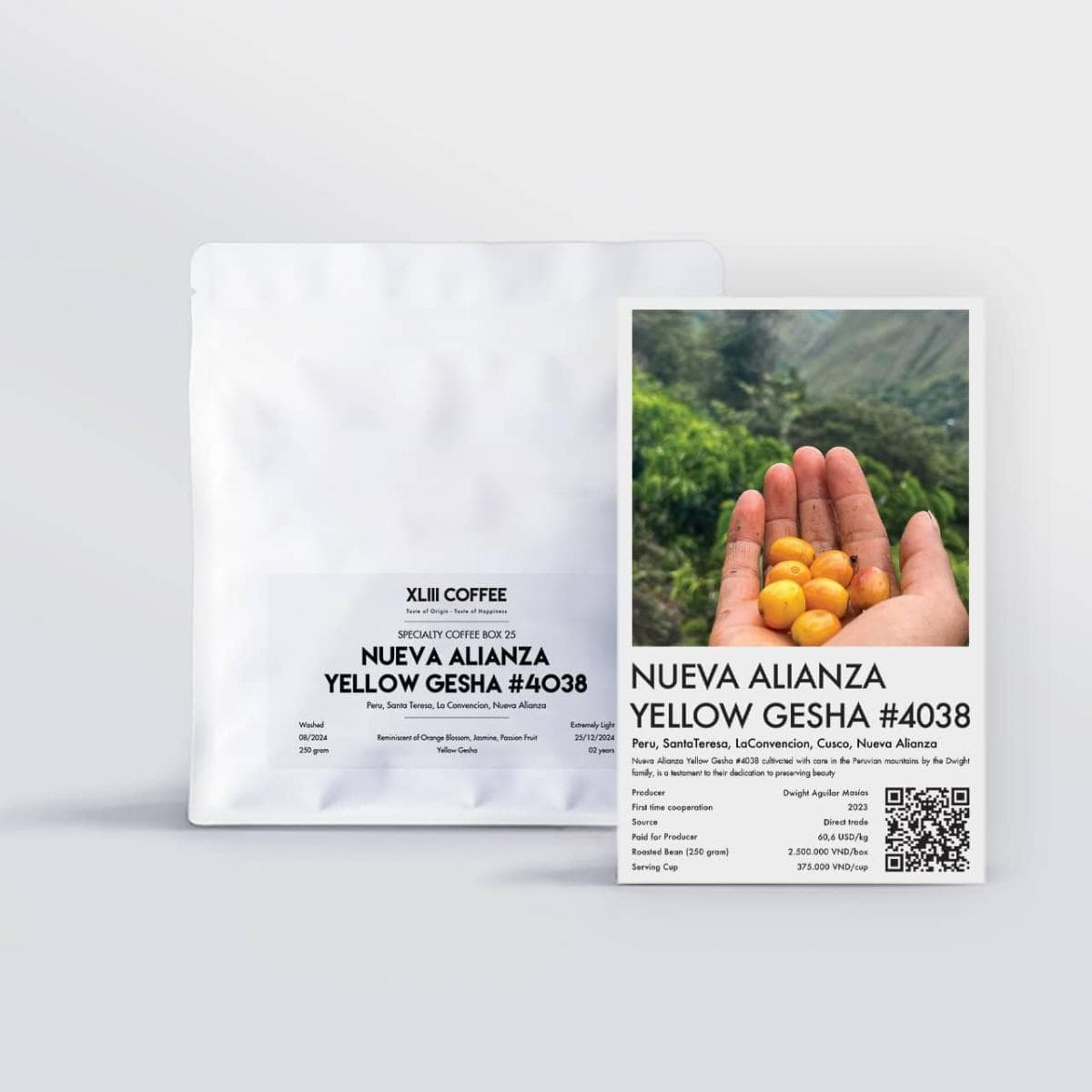 Nueva Alianza Yellow Gesha #4038