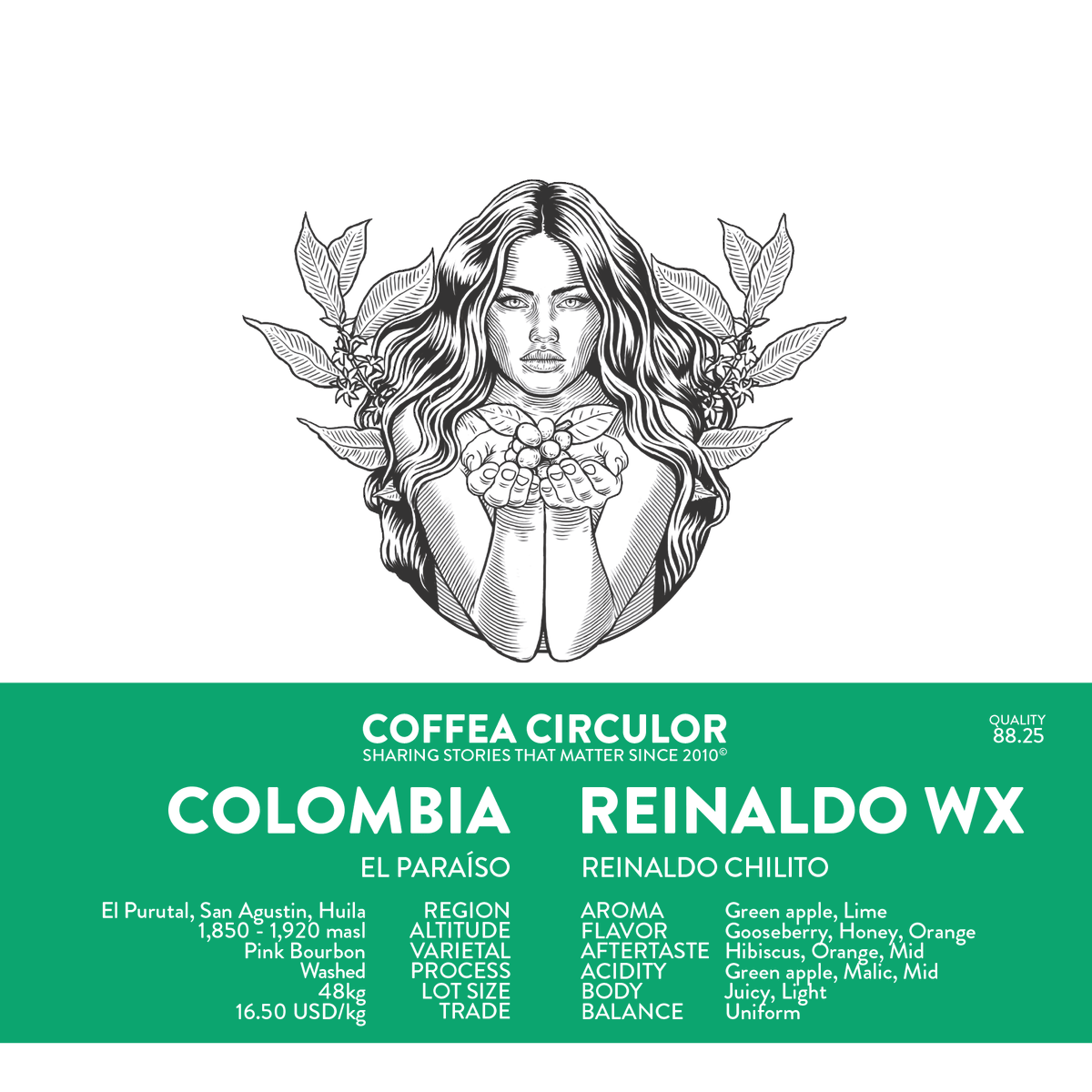 COLOMBIA Reinaldo Chilito Pink Bourbon Washed WX