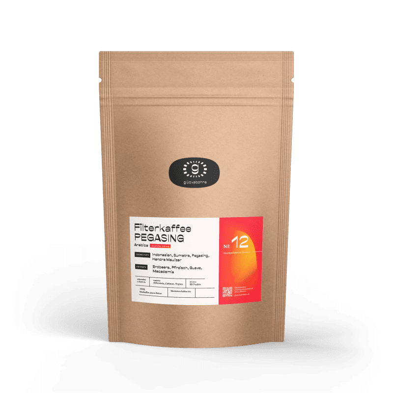 Sumatra Pegasing