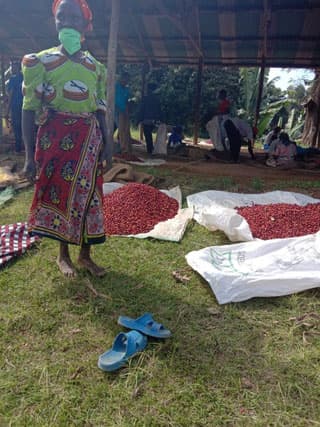 Kenia "Kirinyaga" - Filter