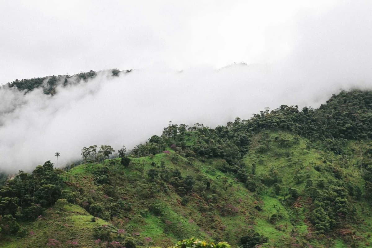 GUATEMALA — gangundgäbe